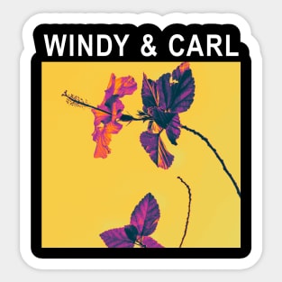 Windy and Carl music Sticker